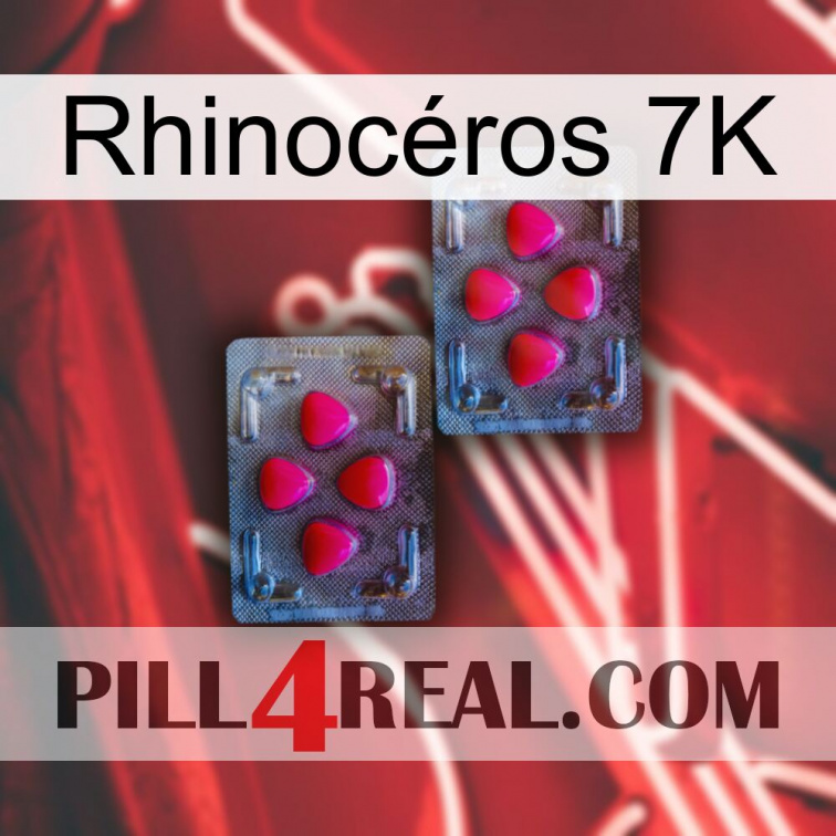 Rhinocéros 7K 14